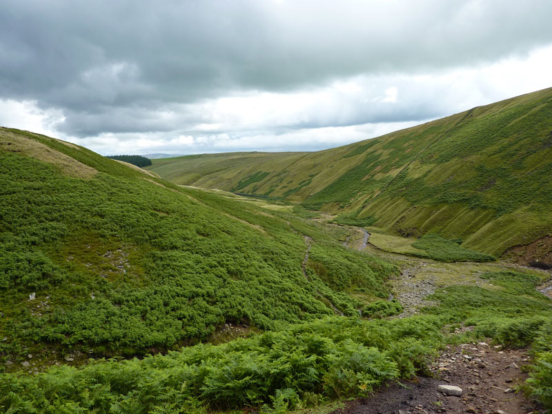 Ogden Clough